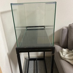 ガラス水槽60cm 台付
の画像