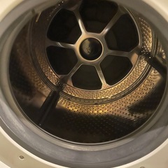TOSHIBA ドラム式洗濯機の画像