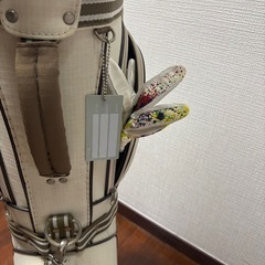 ゴルフクラブバッグシューズグローブボールの画像