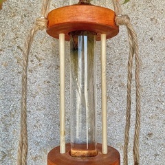 観葉植物　水耕栽培したベゴニアと木製の水耕栽培/水差しハンガーの画像