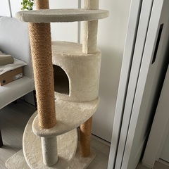 キャットタワーの画像