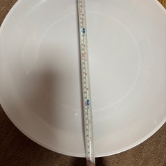 プラスチック大皿の画像