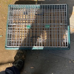 うさぎゲージの画像