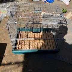 うさぎゲージの画像