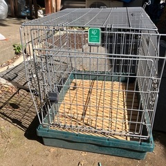 うさぎゲージの画像