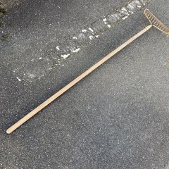 落ち葉拾い 枝切りばさみ セットの画像