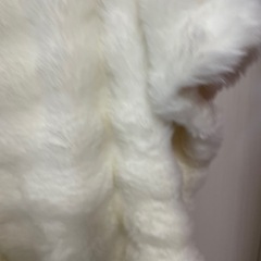 ふわふわもこもこ毛布、100×160センチの画像