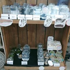 ‼️‼️‼️11月1日より下段のメダカall300円開催‼️‼️‼️の画像