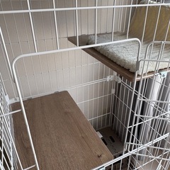 子猫用キャットケージ２段の画像