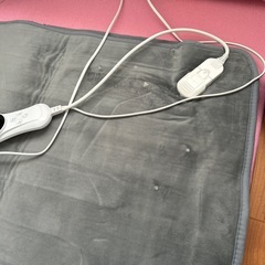 シングル でんきもうふ電気毛布の画像