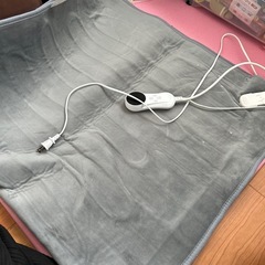 シングル でんきもうふ電気毛布の画像