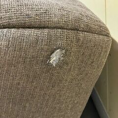 『傷・破れあり』折りたたみ式ソファベッド【管理番号137】の画像