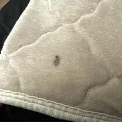ベッドパッド　カバー　セミダブルの画像