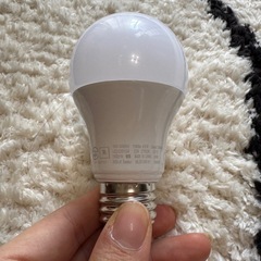 E26口形　電球10個セットの画像