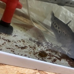 スポットナイフの画像