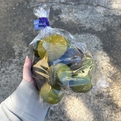 【スダチ約10個】本庄産　野菜　無農薬　販売　まとめ売り　セットの画像