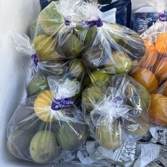 【スダチ約10個】本庄産　野菜　無農薬　販売　まとめ売り　セットの画像