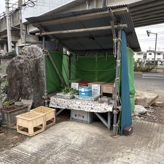 【スダチ約10個】本庄産　野菜　無農薬　販売　まとめ売り　セットの画像