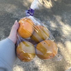 【次郎柿4個】本庄産　野菜　無農薬　販売　まとめ売り　セットの画像