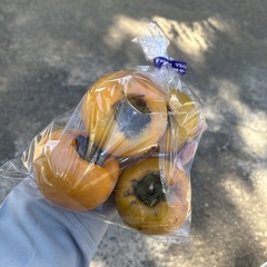 【次郎柿4個】本庄産　野菜　無農薬　販売　まとめ売り　セットの画像