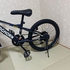 子供用自転車COGHORN コグホーン20インチの画像