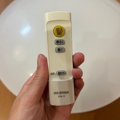 シーリングライトの画像