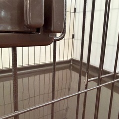 ペットゲージ　アイリスオーヤマ　連結
の画像