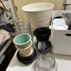 観葉植物の鉢+〆の画像