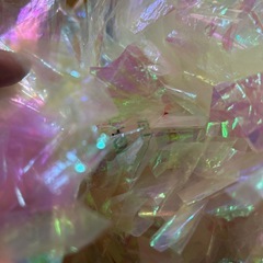 ダンス　チア　ポンポン　の画像