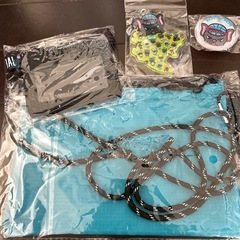 佐賀バルナーズの画像