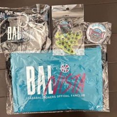 佐賀バルナーズの画像