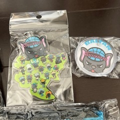 佐賀バルナーズの画像