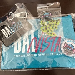 佐賀バルナーズの画像