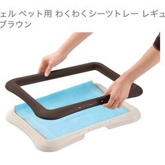 犬　トイレトレー　レギュラーの画像