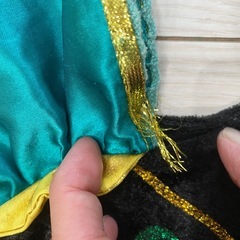 仮装　ハロウィン　アナ雪　110の画像