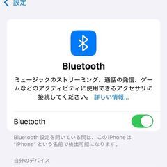【現状品】SHOKZ OpenRun S803 骨伝導イヤホンの画像