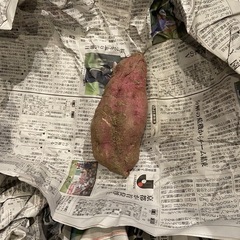 【決定済み】土付きさつまいも12個くらいの画像