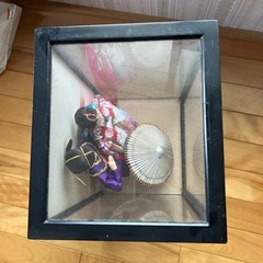 人形箱を差し上げます
の画像