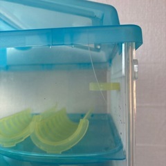 ハムスターケージの画像