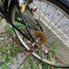 自転車　27インチの画像