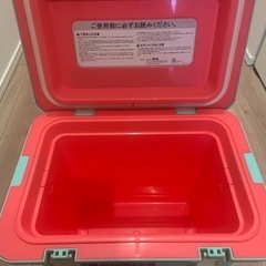 【お譲り先決定しました！】【無料】１人用クーラーボックスの画像