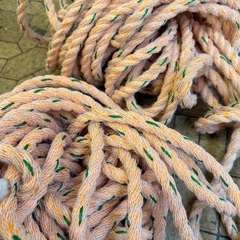 新古品⭐️ロープ⭐️5mの画像