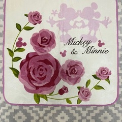 肌掛け２枚&ミニラグマットの画像