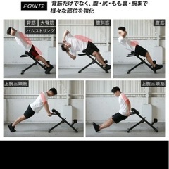 自宅用背筋トレーニングギアの画像