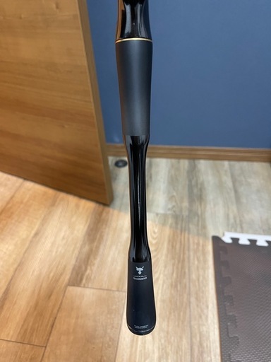 10月31まで　ポイズンアルティマ1610L BFS バス釣り