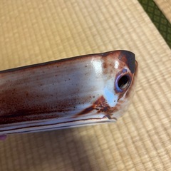 【あげます】大きな灰皿の画像