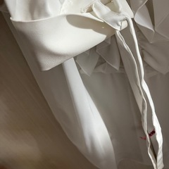 BOSCHボッシュ　フリルブラウスの画像