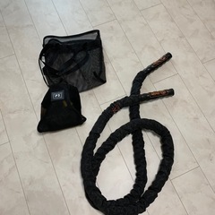 自宅用背筋トレーニングギアの画像