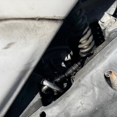 ライブディオＺＸ 原付 Dio 50cc
の画像