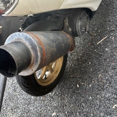 ライブディオＺＸ 原付 Dio 50cc
の画像